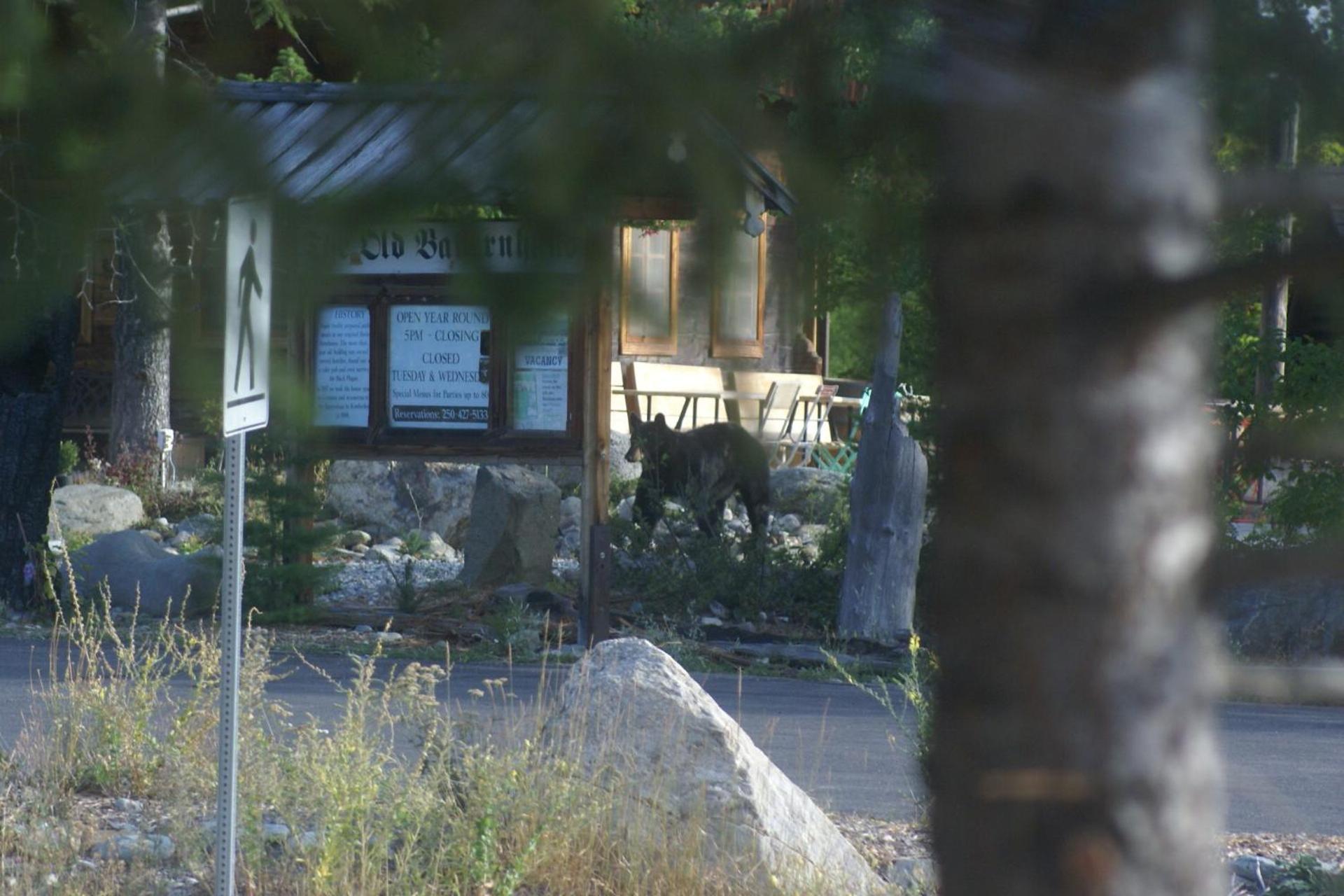 Alpenglow Bed And Breakfast Kimberley Exterior photo