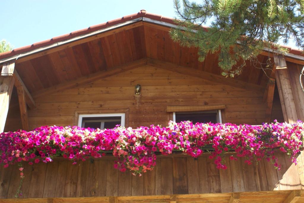 Alpenglow Bed And Breakfast Kimberley Room photo